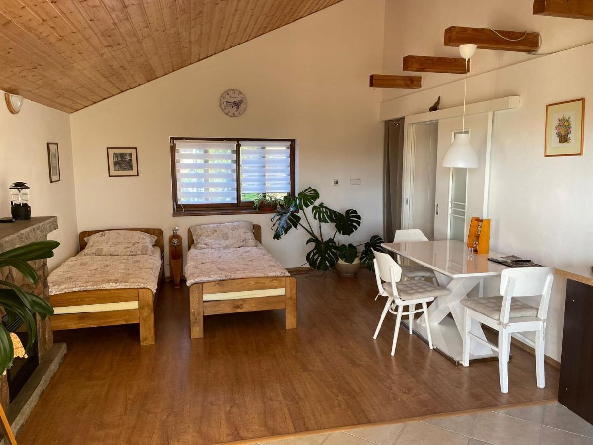 Apartman V Podhuri Jizerskych Hor Zelezny Brod ภายนอก รูปภาพ