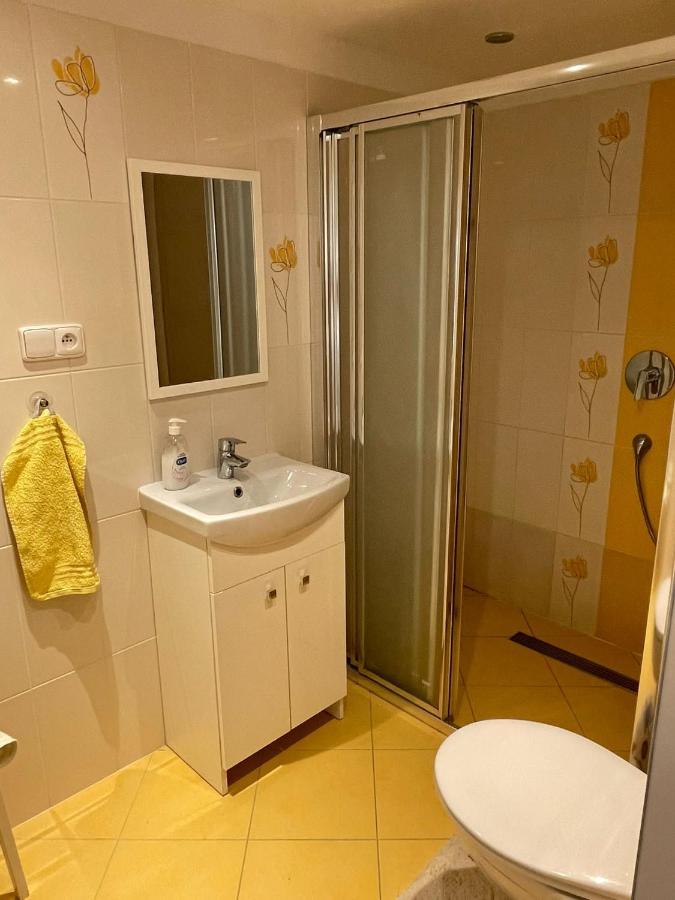 Apartman V Podhuri Jizerskych Hor Zelezny Brod ภายนอก รูปภาพ